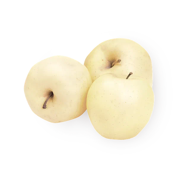 Яблоко белое