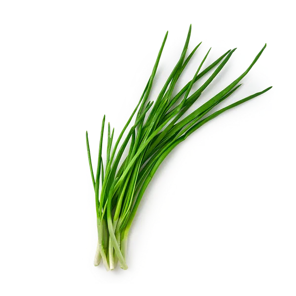 Лук зелёный Novagreen