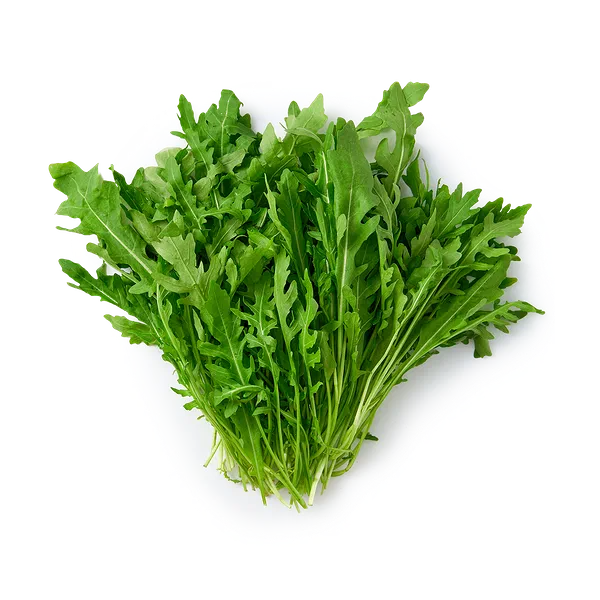 Рукола Novagreen