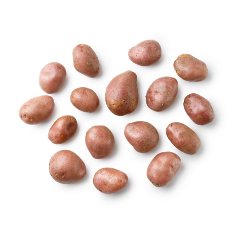 Картофель красный «Из Лавки»