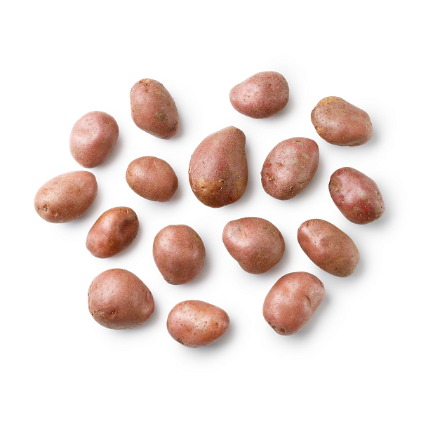 Картофель красный «Из Лавки»