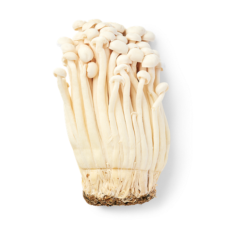 Грибы Эноки синие