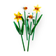 Конструктор Lego Botanical Collection Нарциссы 40747