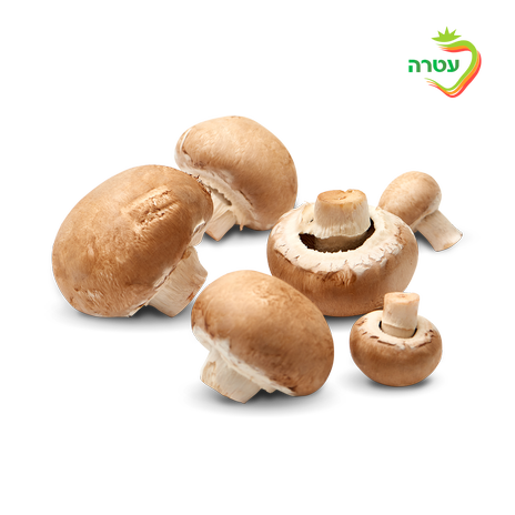 Portobello mushrooms, packed