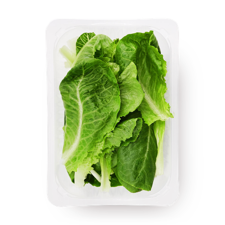 Романо Novagreen