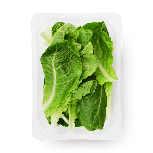 Романо Novagreen