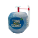 Young Fresh Coconut