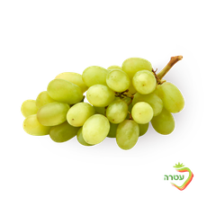White grapes packed
