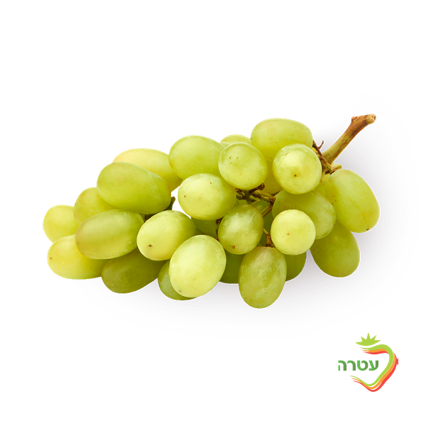White israeli grape packed