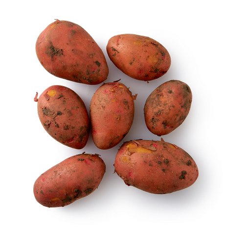 Картофель красный ранний