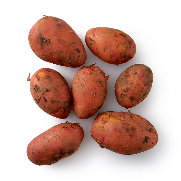 Картофель красный ранний
