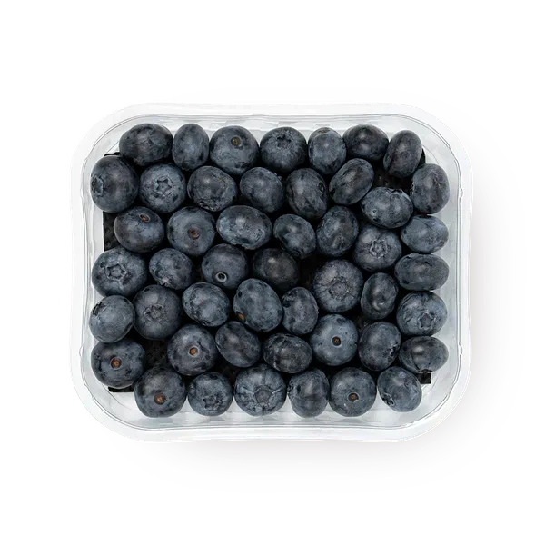 Голубика Juicy Garden