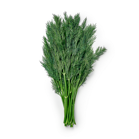 Укроп EveryDay Fresh