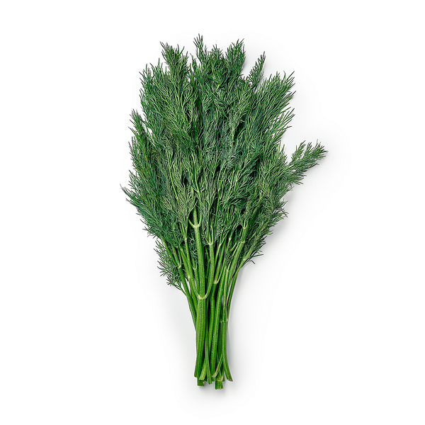 Укроп EveryDay Fresh