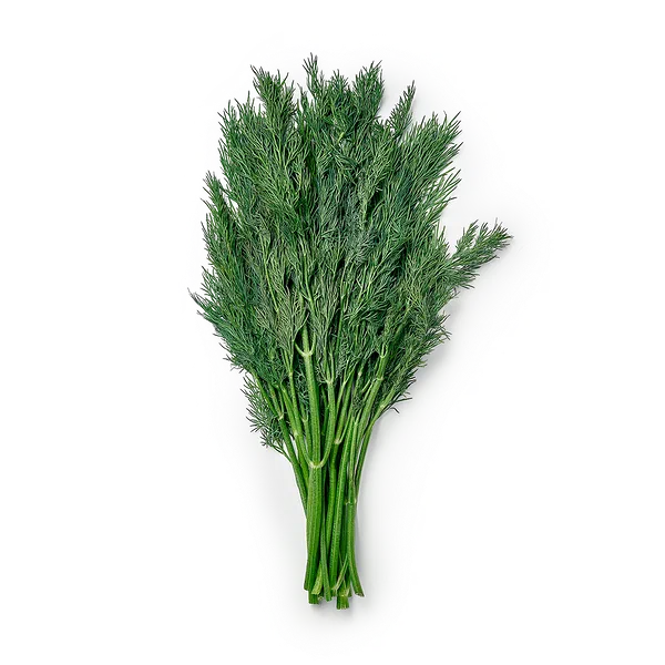 Укроп EveryDay Fresh