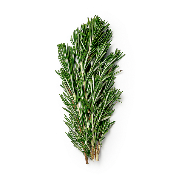 Розмарин Novagreen