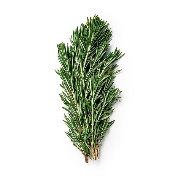 Розмарин Novagreen