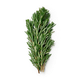 Розмарин Novagreen