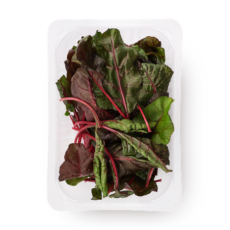 Мангольд Novagreen