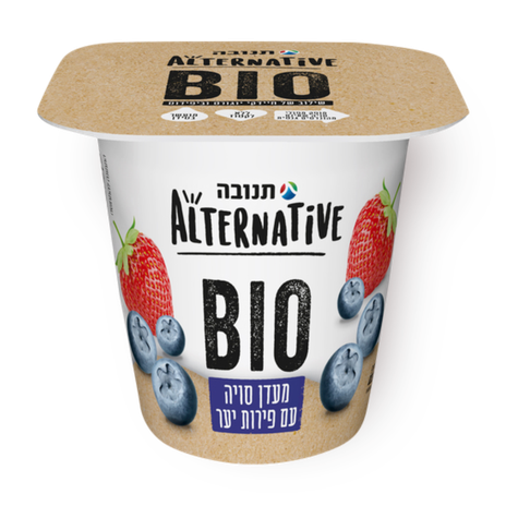 Alternative soy BIO berries pudding