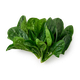 Шпинат Novagreen