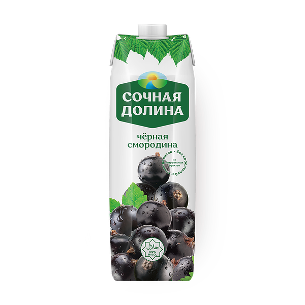 Сок Черносмородиновый «Сочная долина»