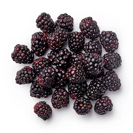 Ежевика King Fruits