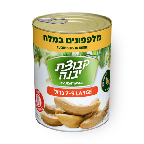 מלפפונים גדולים במלח 7-9