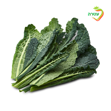 Tuscan black kale leaves Units