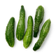 Огурцы колючие ТСХ