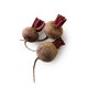 Свёкла молодая