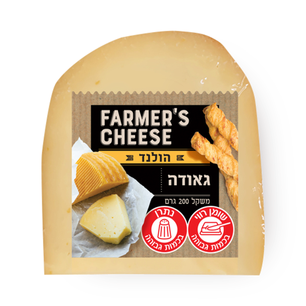 Gouda cheese Farmer's cheese