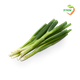Green onions packed