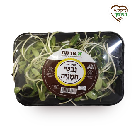 מארז נבטי חמנייה