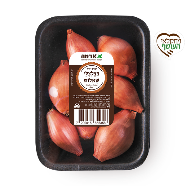 Packed shallots