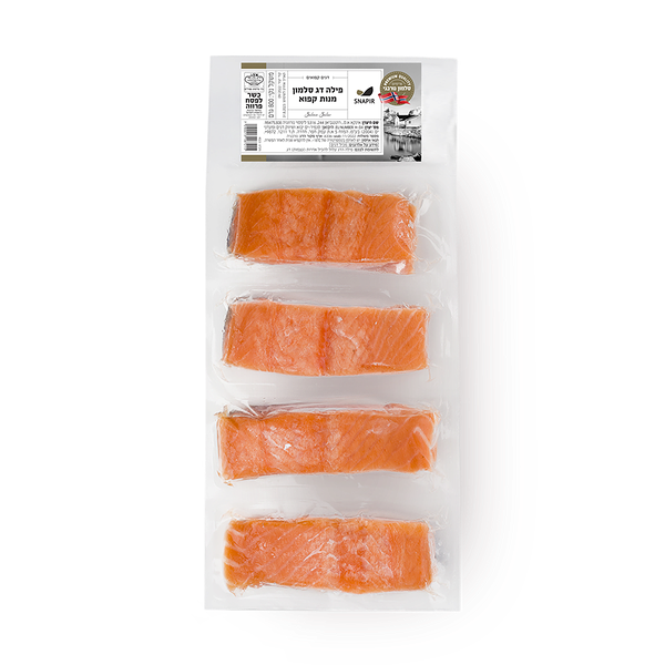 Salmon fillet dishes frozen