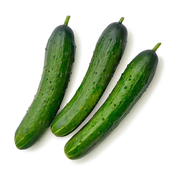 Огурцы колючие Every Day Fresh