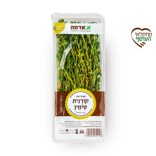 קורנית - ארוז