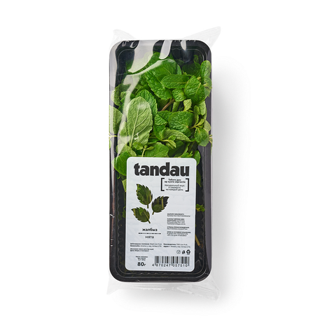 Мята Tandau