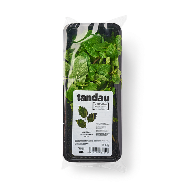 Мята Tandau
