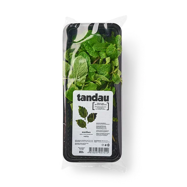 Мята Tandau
