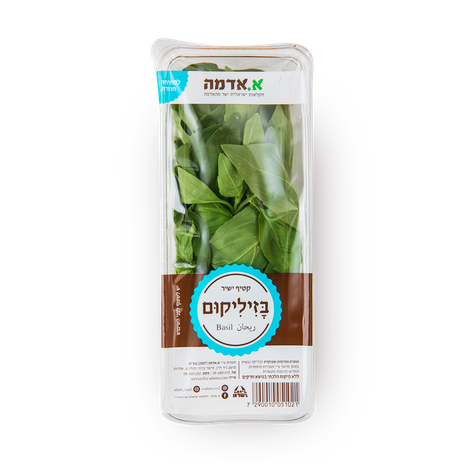 Basil - packed