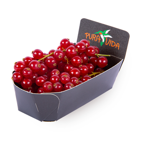 Смородина красная Pura Vida
