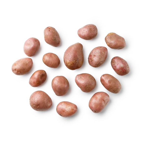 Картофель красный мытый Gektar Узбекистан