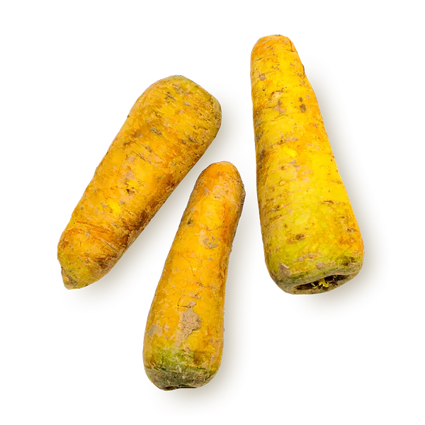 Морковь жёлтая