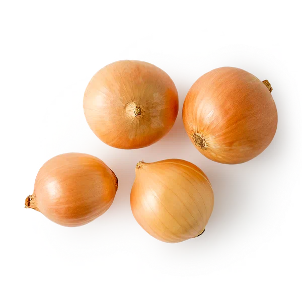 Лук репчатый