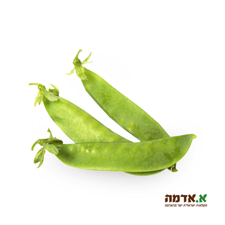 Snow peas