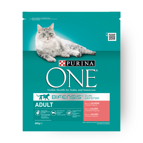 Purina ONE Salmon flavored adult cats food