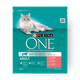 Purina ONE Salmon flavored adult cats food