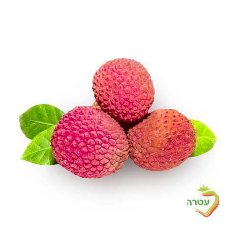 Packed lychees